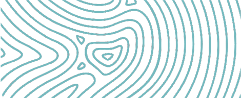 contact element