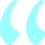 review icon